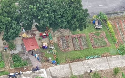 AKTIVITI PROGRAM LESTARI KEBUN KEJIRANAN BANDAR SUNGAI BUNUS