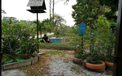 AKTIVITI PROGRAM LESTARI KEBUN KEJIRANAN BANDAR SUNGAI BUNUS