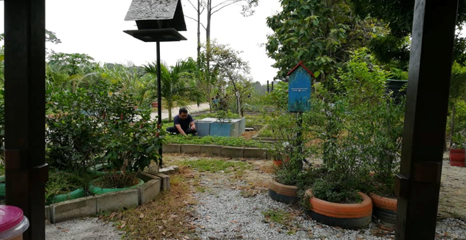 AKTIVITI PROGRAM LESTARI KEBUN KEJIRANAN BANDAR SUNGAI BUNUS