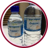 botolendowmen
